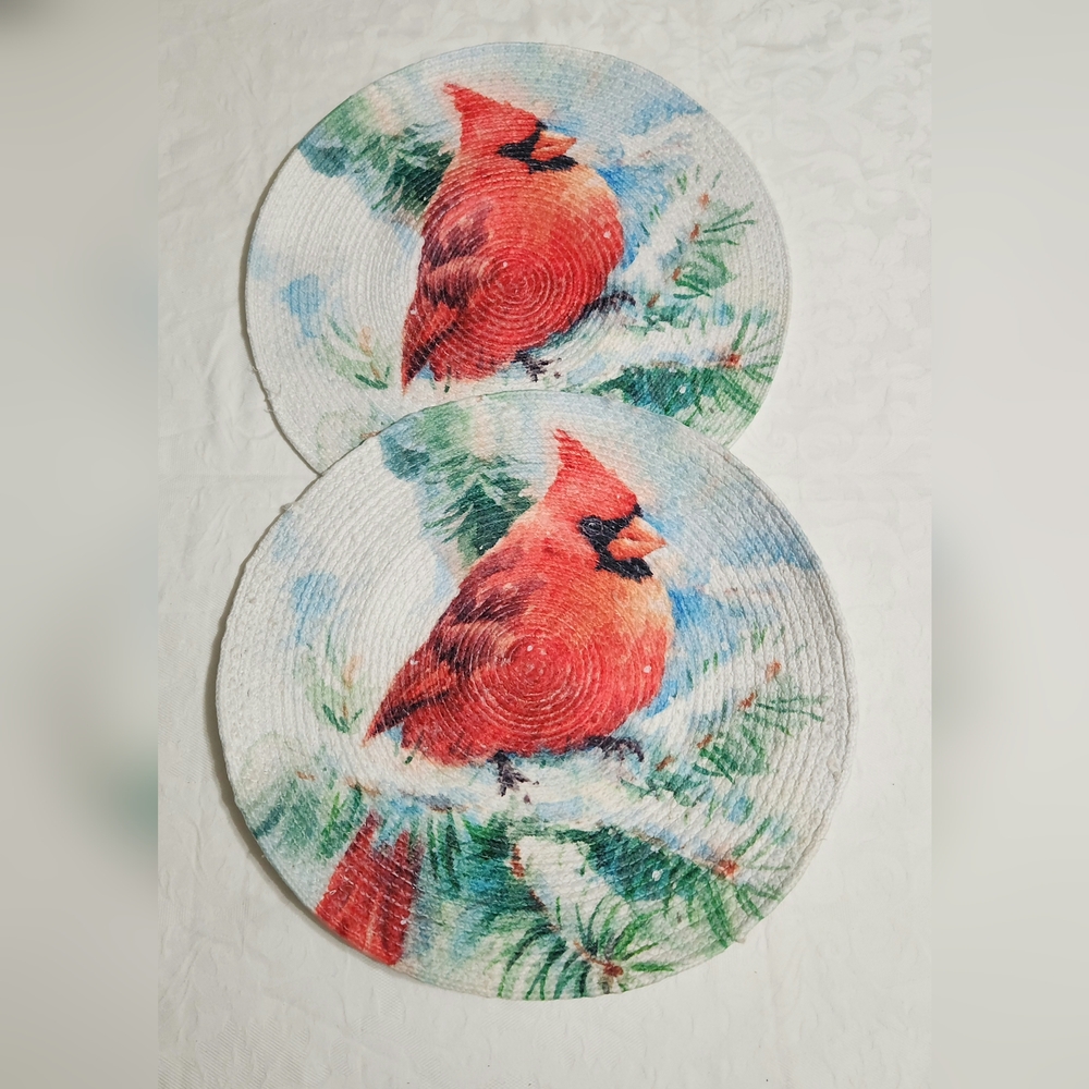 Farm House by Rachel Ashwell cardinal woven placemats